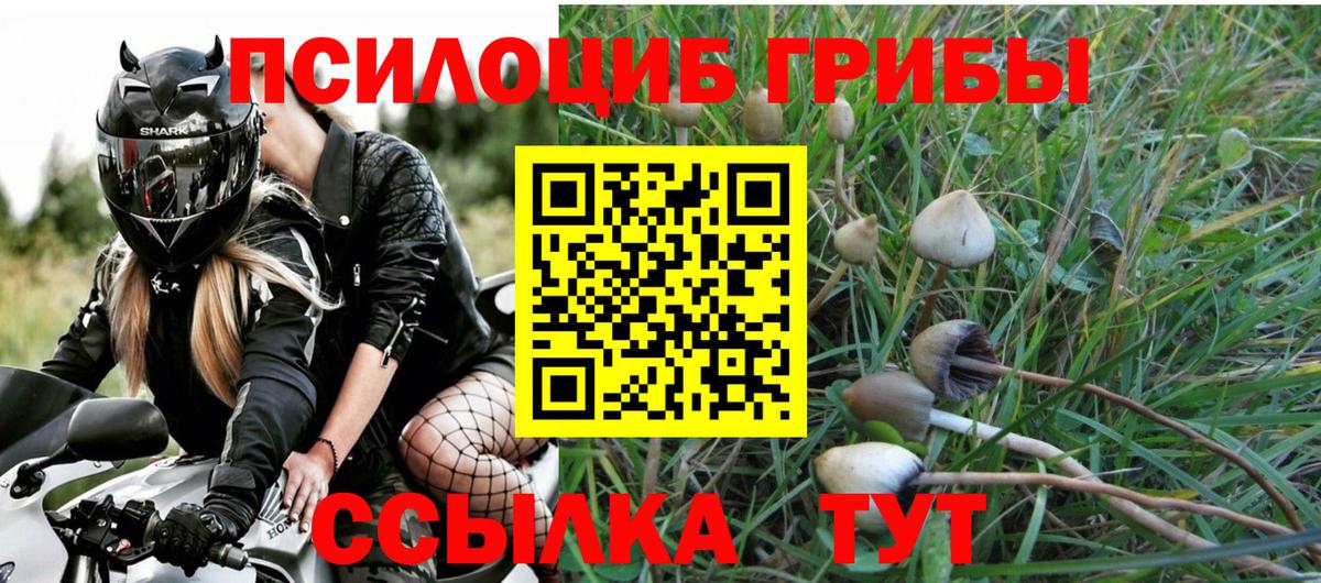 Галлюциногенные грибы GOLDEN TEACHER  Вход с VPN  Крымск 