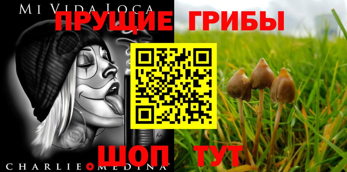 Псилоцибиновые грибы прущие грибы Крымск